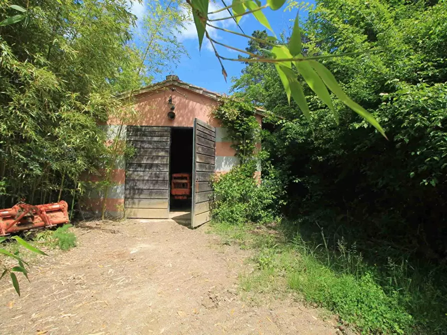 Immagine 27 di Casa colonica in vendita  a San Miniato