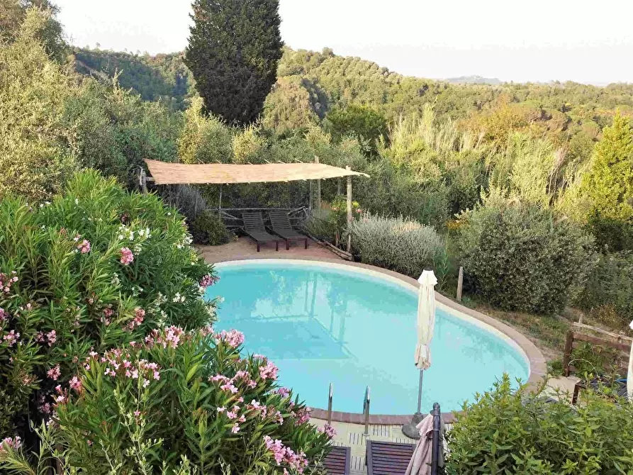 Immagine 25 di Casa colonica in vendita  a San Miniato