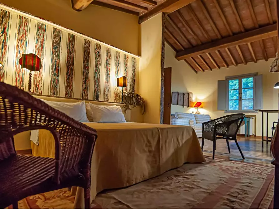 Immagine 21 di Casa colonica in vendita  a San Miniato