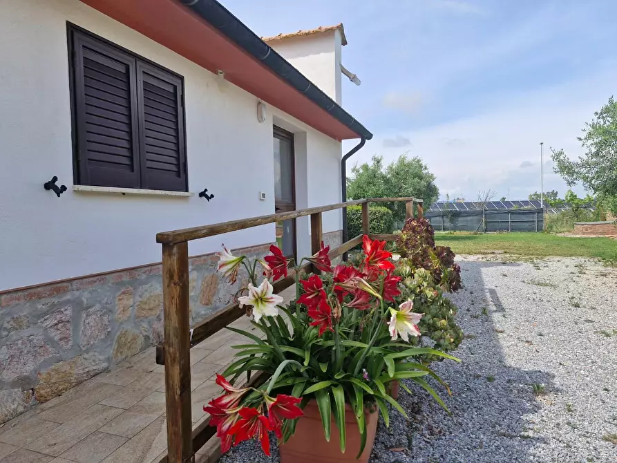 Immagine 16 di Casa colonica in vendita  a Piombino