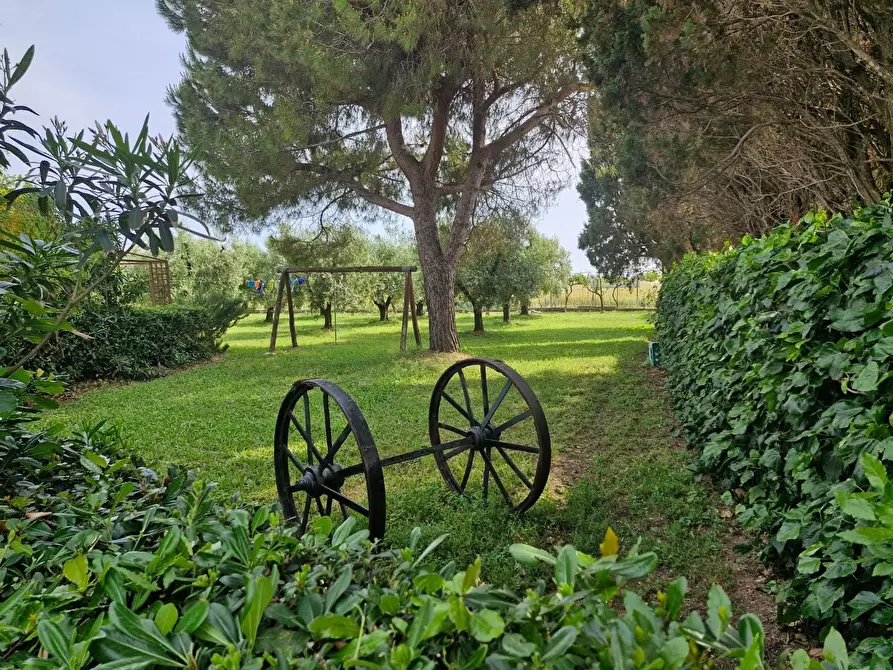 Immagine 1 di Casa colonica in vendita  a Piombino