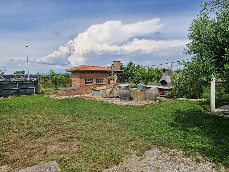 Immagine 18 di Casa colonica in vendita  a Piombino