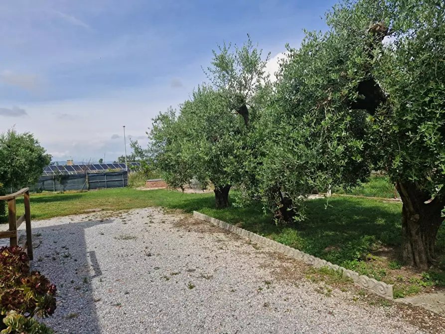 Immagine 17 di Casa colonica in vendita  a Piombino