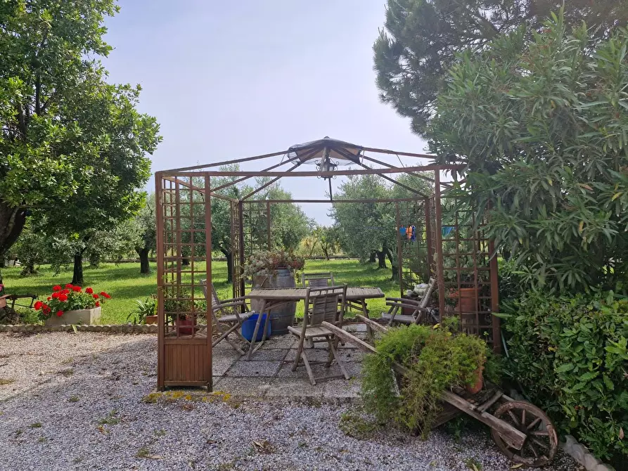 Immagine 5 di Casa colonica in vendita  a Piombino