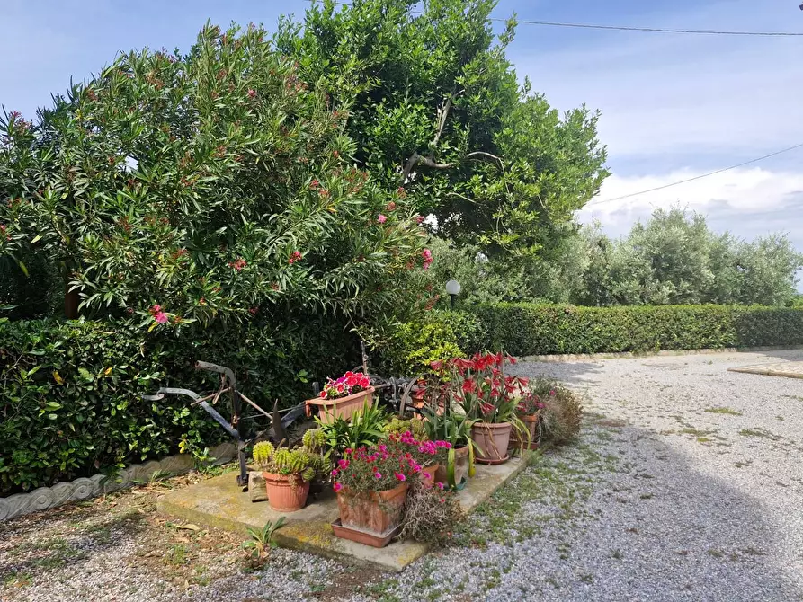 Immagine 2 di Casa colonica in vendita  a Piombino