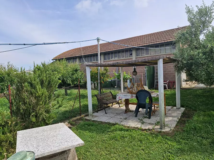 Immagine 21 di Casa colonica in vendita  a Piombino