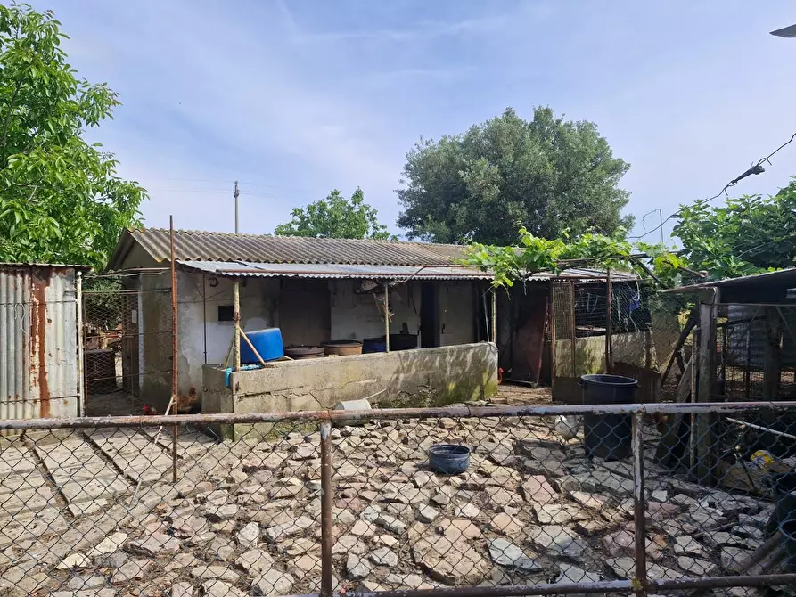 Immagine 13 di Casa colonica in vendita  a Piombino