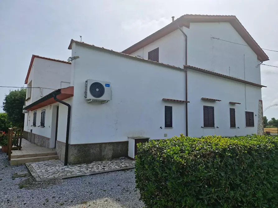 Immagine 12 di Casa colonica in vendita  a Piombino