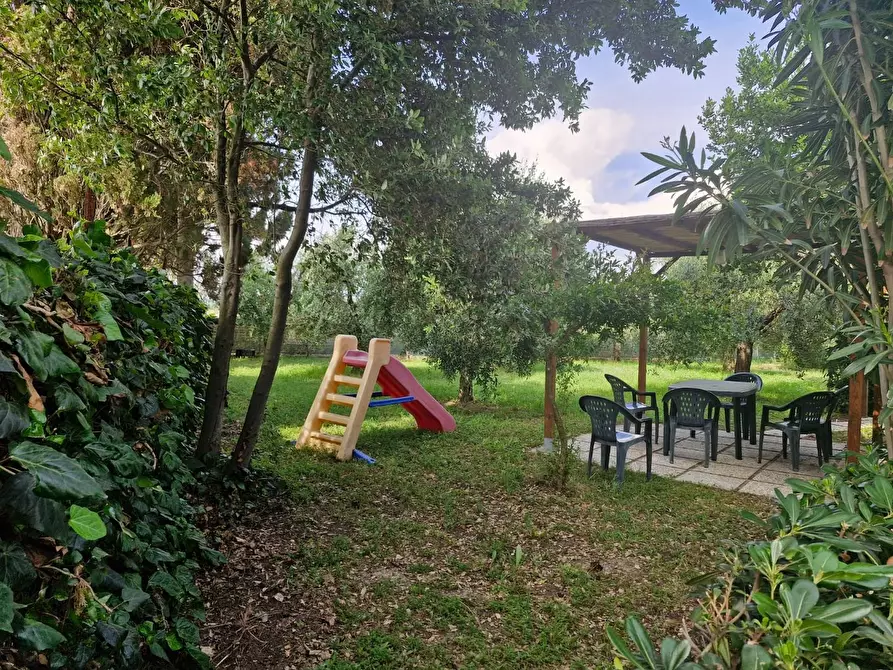 Immagine 3 di Casa colonica in vendita  a Piombino