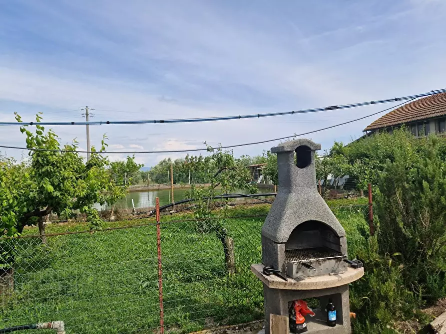 Immagine 20 di Casa colonica in vendita  a Piombino