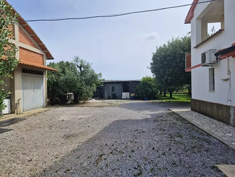 Immagine 22 di Casa colonica in vendita  a Piombino