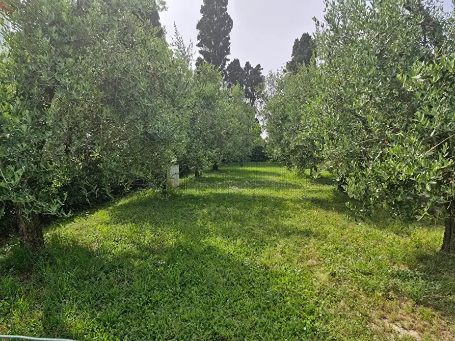 Immagine 19 di Casa colonica in vendita  a Piombino