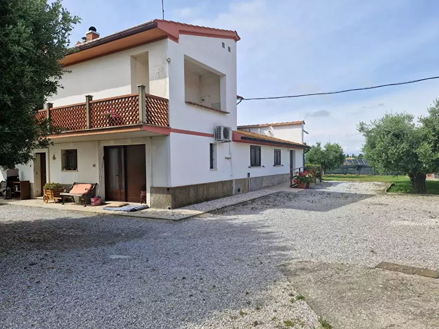 Immagine 4 di Casa colonica in vendita  a Piombino