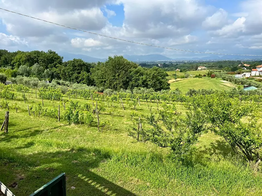 Immagine 71 di Villa in vendita  a Capannori