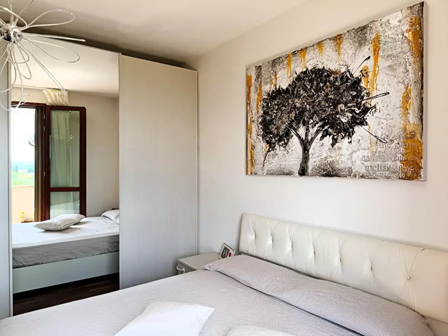 Immagine 11 di Appartamento in vendita  a Capannoli