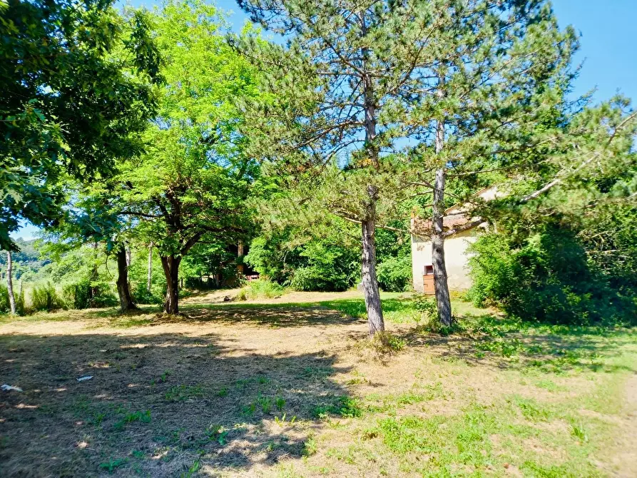 Immagine 4 di Casa colonica in vendita  a Castelfiorentino