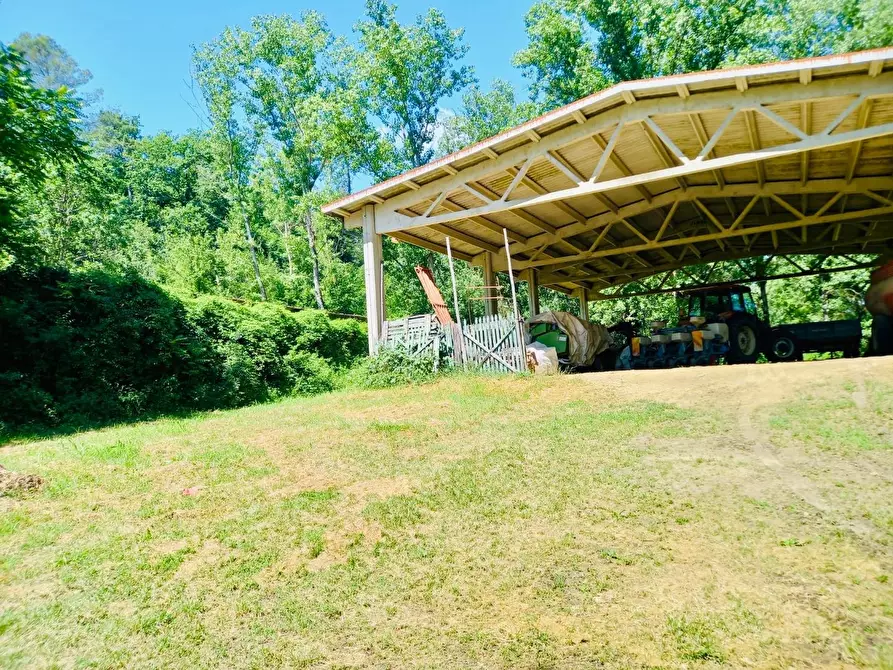 Immagine 11 di Casa colonica in vendita  a Castelfiorentino