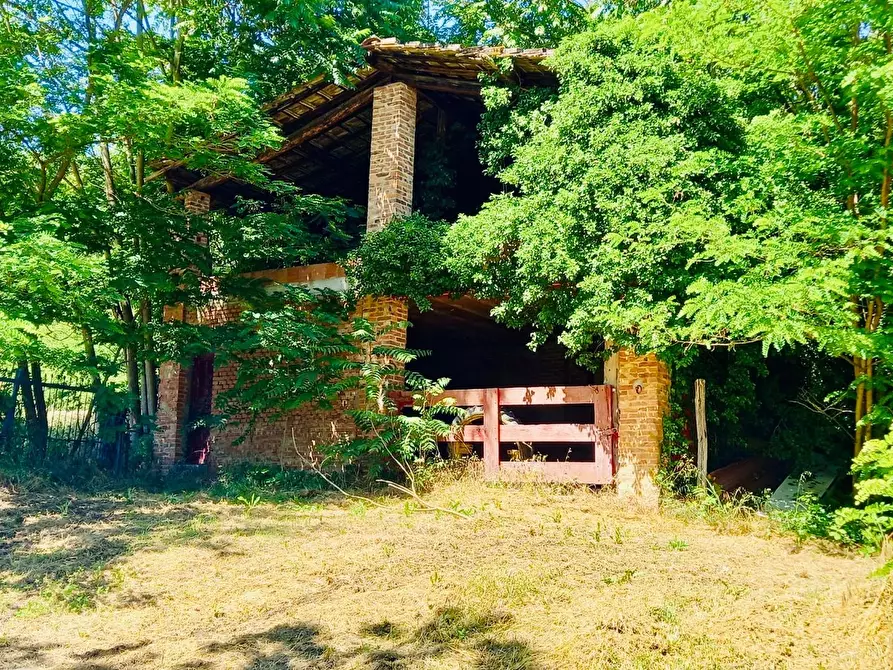 Immagine 8 di Casa colonica in vendita  a Castelfiorentino