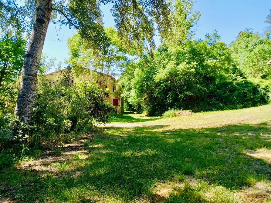 Immagine 7 di Casa colonica in vendita  a Castelfiorentino