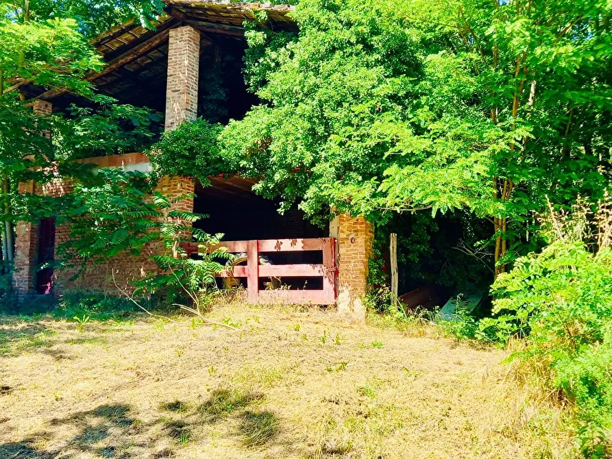 Immagine 9 di Casa colonica in vendita  a Castelfiorentino