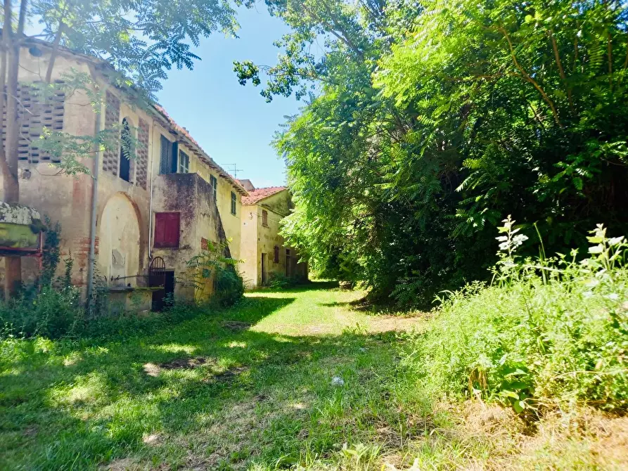 Immagine 6 di Casa colonica in vendita  a Castelfiorentino
