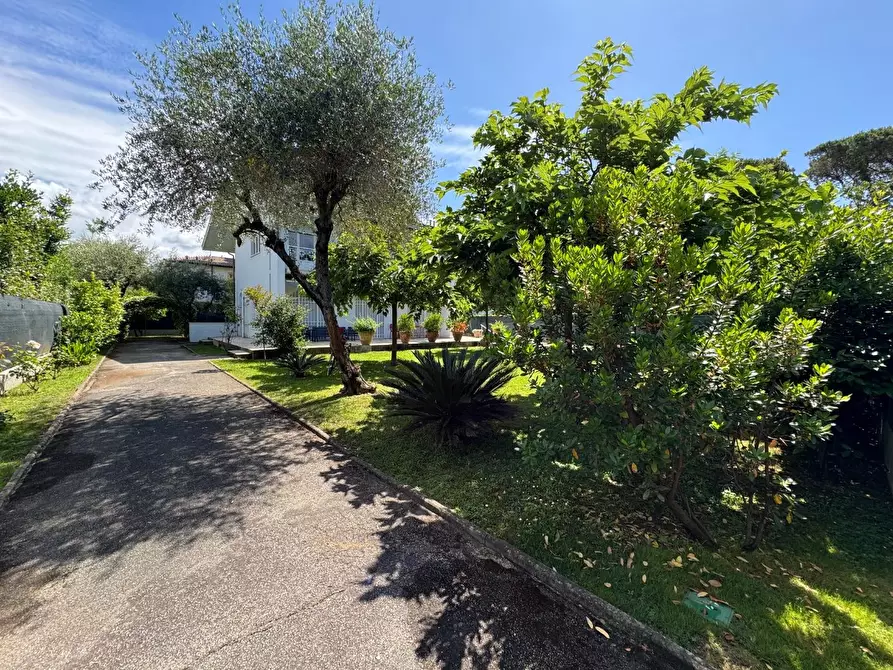 Immagine 33 di Porzione di casa in affitto  a Forte Dei Marmi