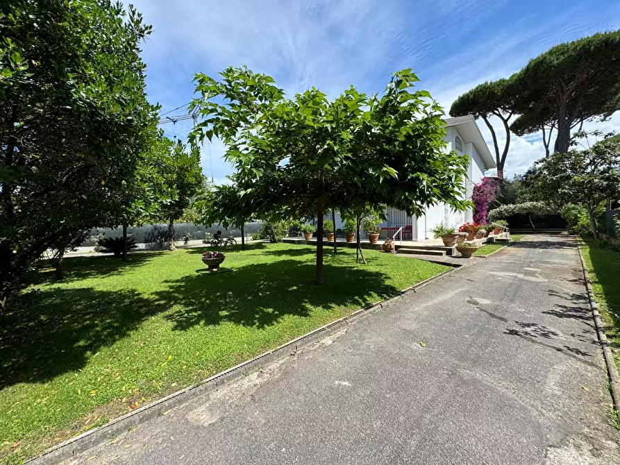 Immagine 29 di Porzione di casa in affitto  a Forte Dei Marmi