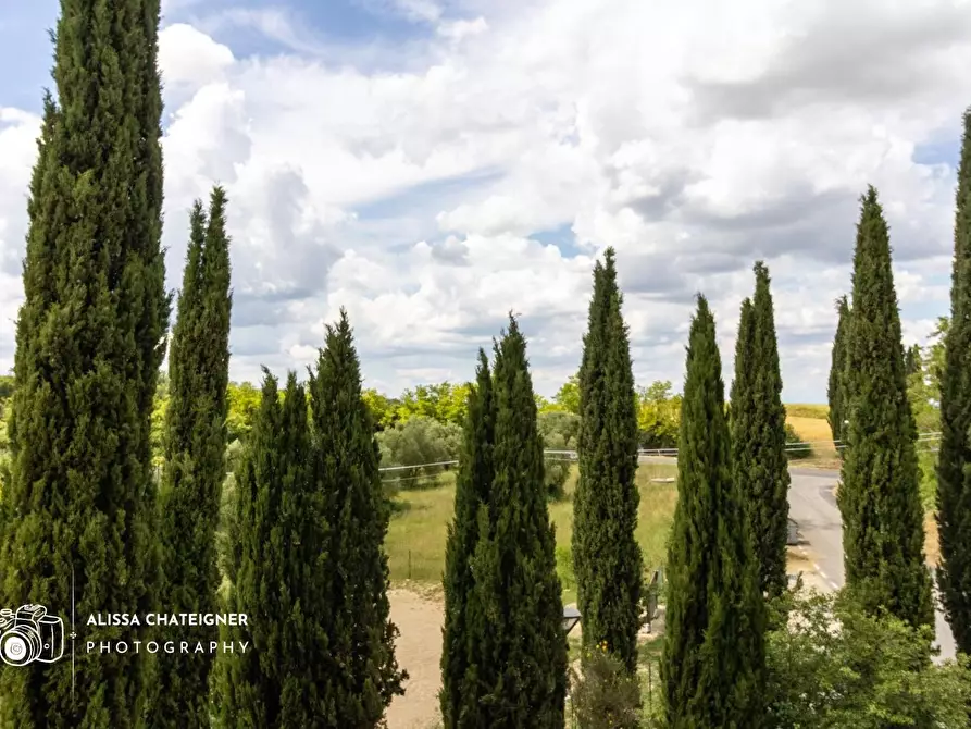 Immagine 30 di Villetta a schiera in vendita  a Monteriggioni