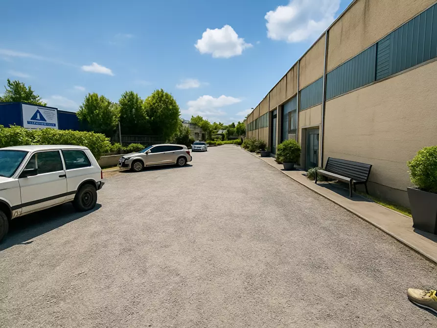 Immagine 2 di Attività artigianale in vendita  a Capannoli