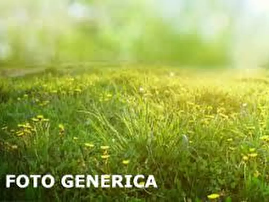 Immagine 1 di Terreno agricolo in vendita  a Pisa