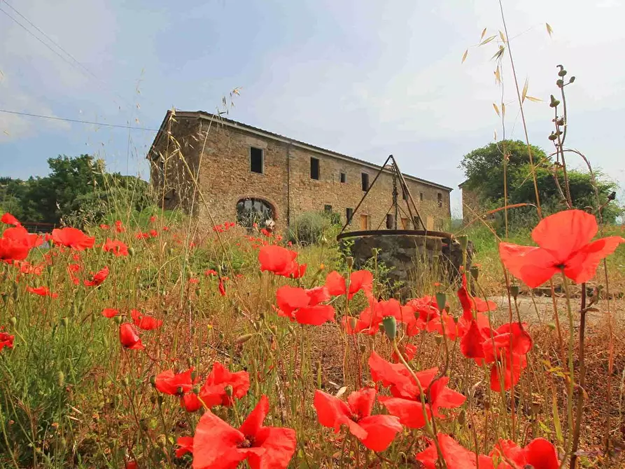 Immagine 28 di Casa colonica in vendita  a Monsummano Terme