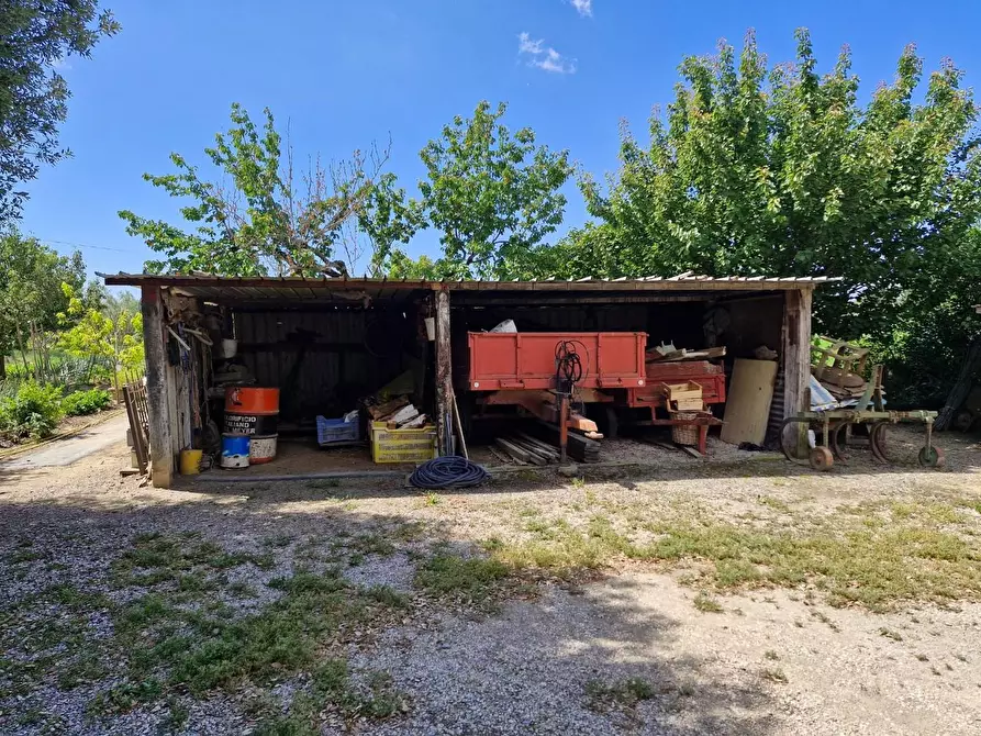 Immagine 1 di Terreno agricolo in vendita  a Campiglia Marittima