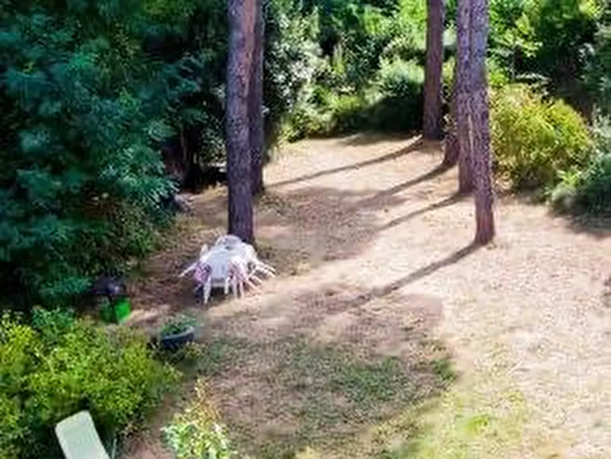 Immagine 29 di Casa colonica in vendita  a Calci