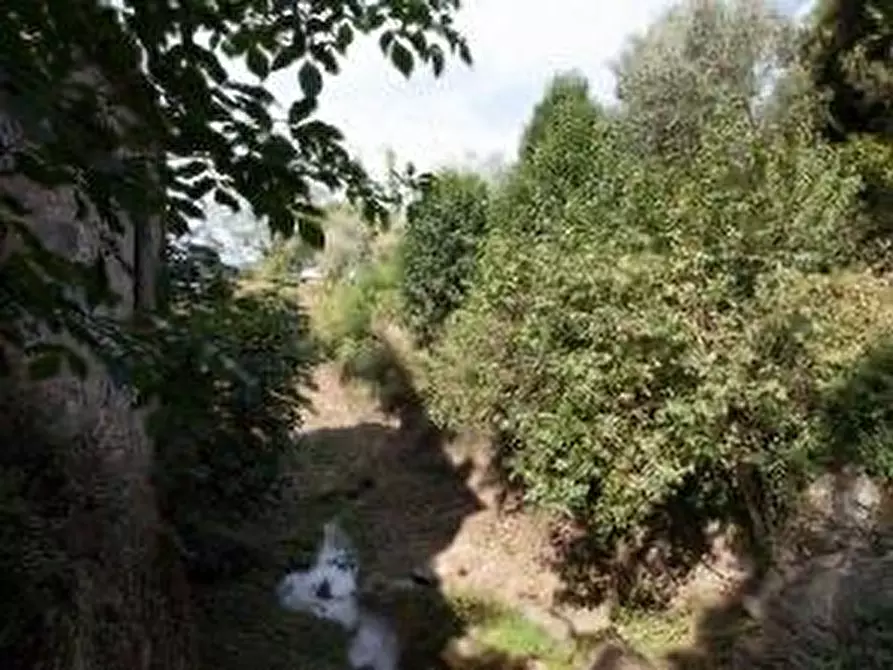 Immagine 22 di Casa colonica in vendita  a Calci