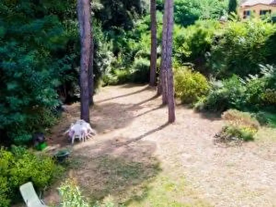 Immagine 21 di Casa colonica in vendita  a Calci