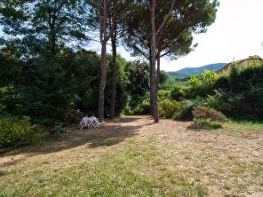 Immagine 27 di Casa colonica in vendita  a Calci