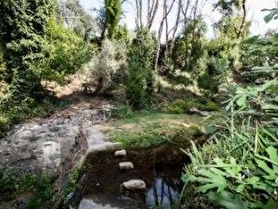 Immagine 28 di Casa colonica in vendita  a Calci