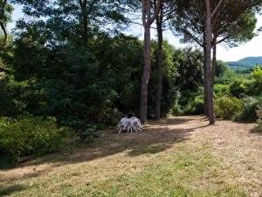 Immagine 26 di Casa colonica in vendita  a Calci