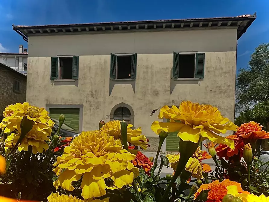 Immagine 4 di Villa in vendita  a Barberino Tavarnelle