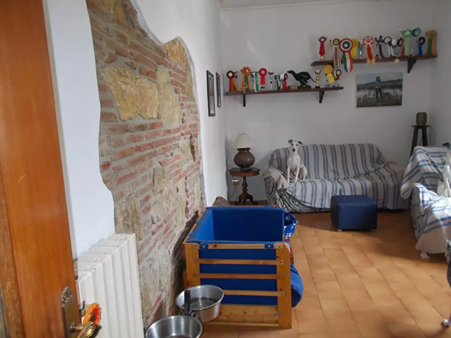 Immagine 11 di Terratetto in vendita  a Vecchiano