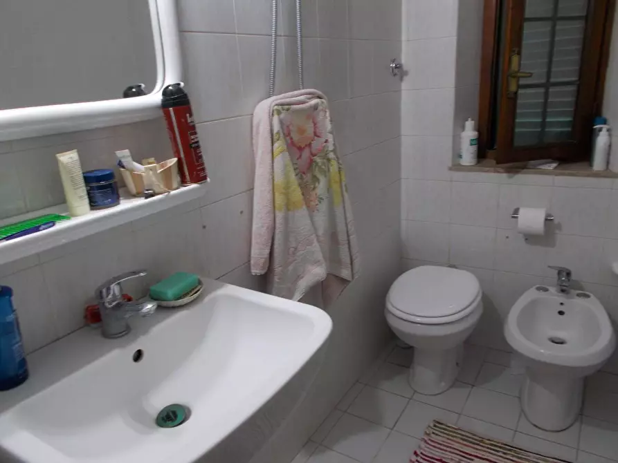 Immagine 18 di Terratetto in vendita  a Vecchiano