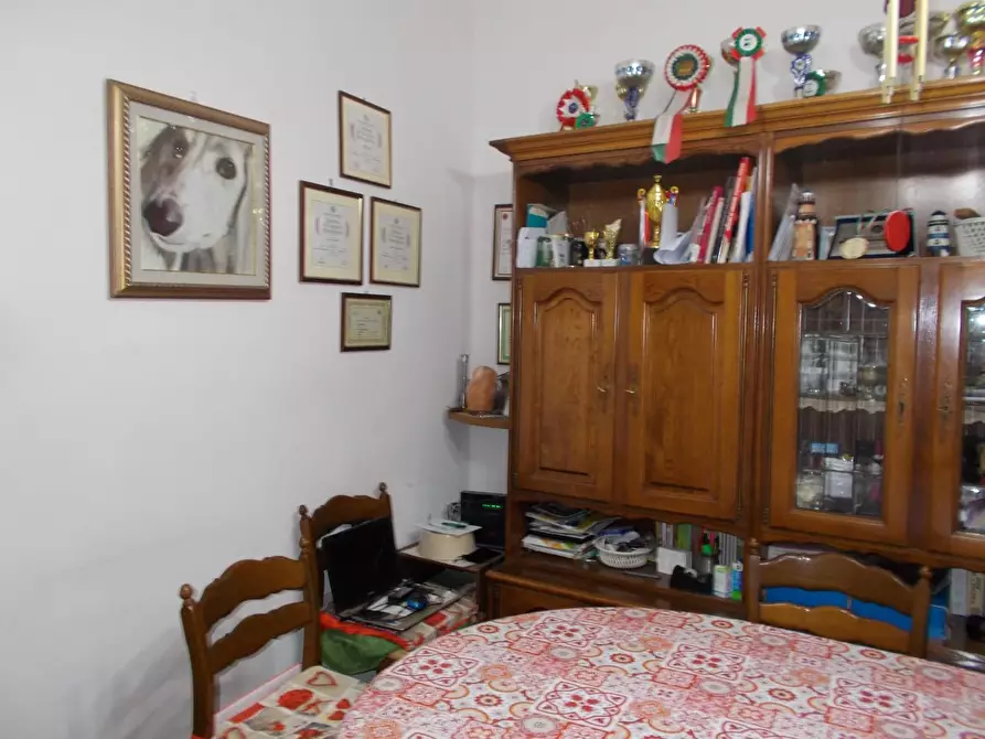 Immagine 8 di Terratetto in vendita  a Vecchiano