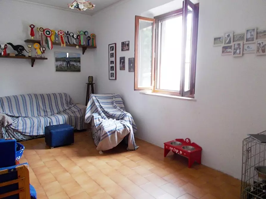 Immagine 6 di Terratetto in vendita  a Vecchiano