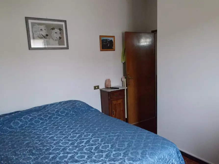 Immagine 17 di Terratetto in vendita  a Vecchiano