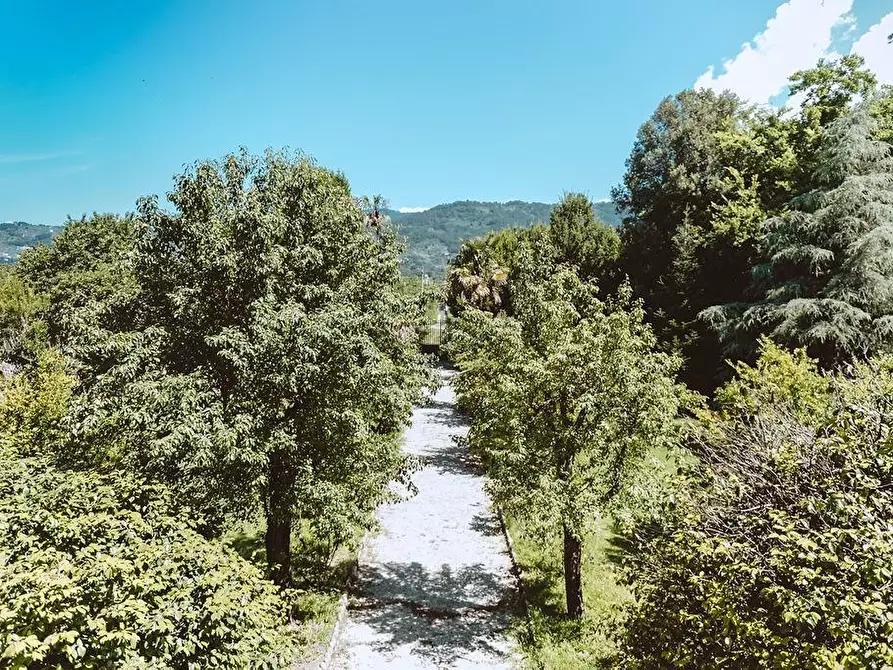 Immagine 69 di Immobile di prestigio in vendita  a Lucca