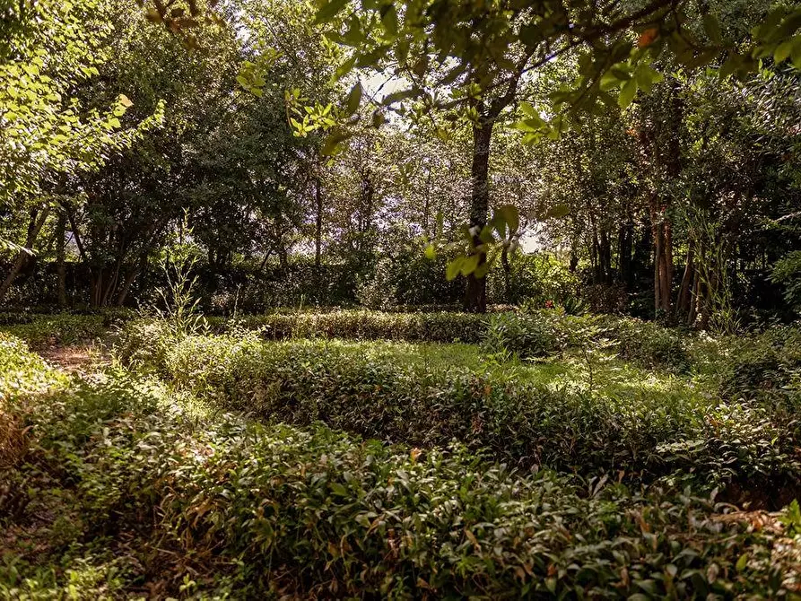 Immagine 22 di Immobile di prestigio in vendita  a Lucca