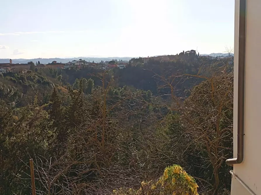 Immagine 14 di Appartamento in vendita  a San Miniato