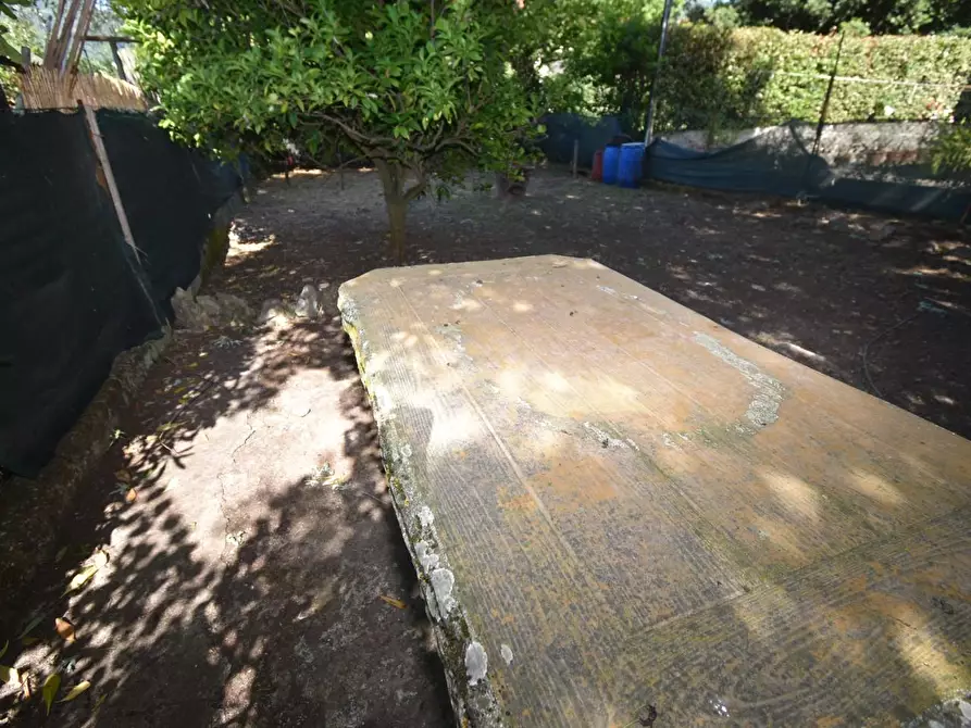 Immagine 39 di Terratetto in vendita  a San Giuliano Terme