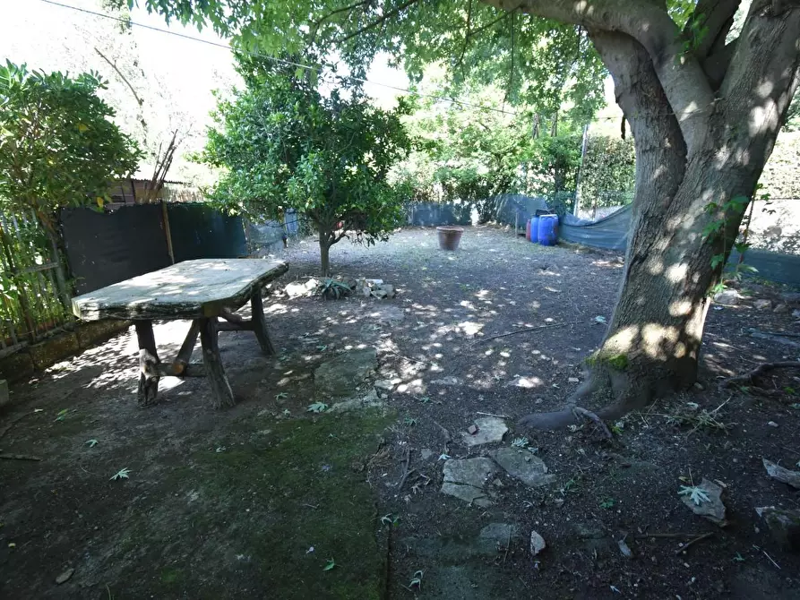 Immagine 40 di Terratetto in vendita  a San Giuliano Terme