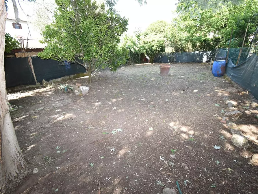 Immagine 38 di Terratetto in vendita  a San Giuliano Terme